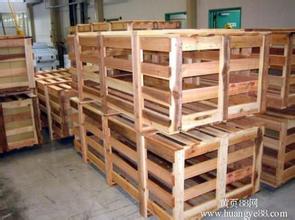 ����ľ��